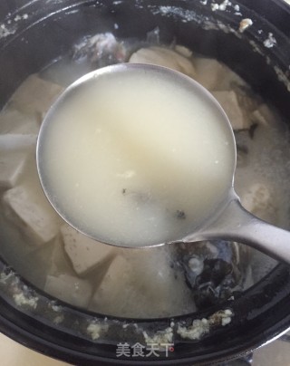 鲫鱼豆腐汤的做法步骤：8