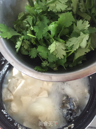 鲫鱼豆腐汤的做法步骤：9