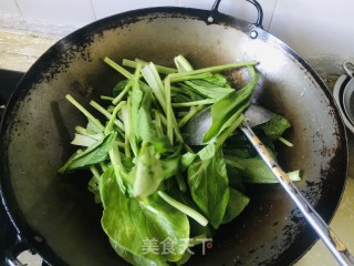 蒜香小油菜的做法步骤：3