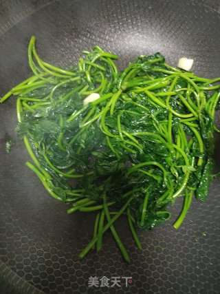 素炒红薯叶的做法步骤：4
