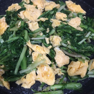 鸡蛋炒苦菊的做法步骤：5