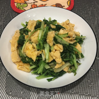 鸡蛋炒苦菊的做法步骤：6