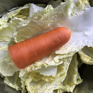 白菜豆腐炖粉条的做法步骤：1