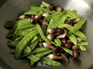 鸡枞菌炒荷兰豆的做法步骤：4