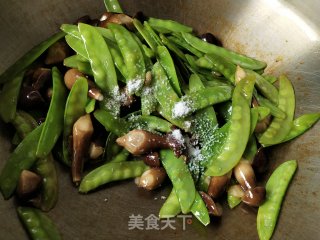 鸡枞菌炒荷兰豆的做法步骤：6