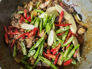 仔姜青花椒炒柴鸡的做法步骤：18