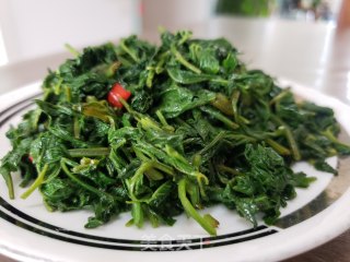 凉拌灰圪针的做法步骤：6