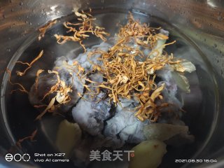 虫草炖排骨的做法步骤：3