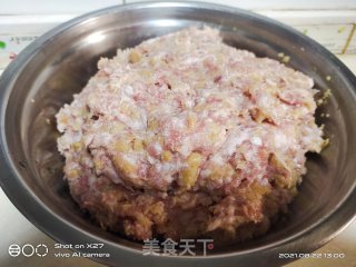 萝卜干肉末饺子的做法步骤：3