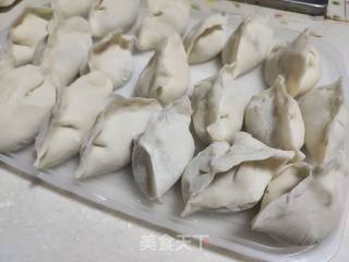萝卜干肉末饺子的做法步骤：5