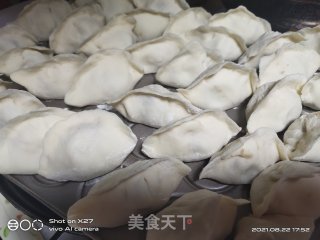 萝卜干肉末饺子的做法步骤：6