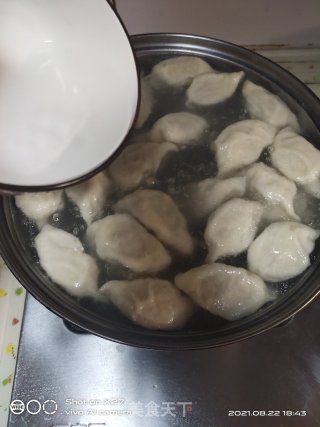 萝卜干肉末饺子的做法步骤：8