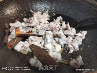 嫩姜红烧鸭肉的做法步骤：3
