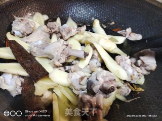 嫩姜红烧鸭肉的做法步骤：5