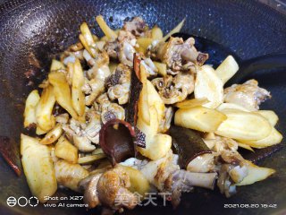 嫩姜红烧鸭肉的做法步骤：7