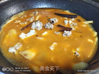 嫩姜红烧鸭肉的做法步骤：8