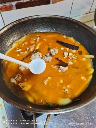 嫩姜红烧鸭肉的做法步骤：9