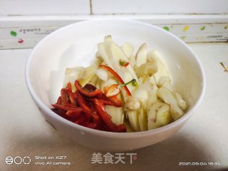 豆豉嫩姜烧鸡肉的做法步骤：1