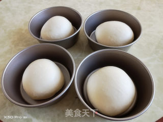 猪肉汉堡包（一次发酵）的做法步骤：3
