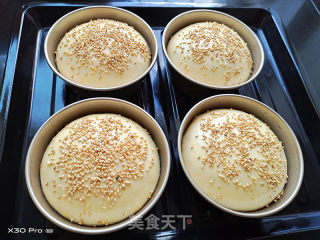 猪肉汉堡包（一次发酵）的做法步骤：8