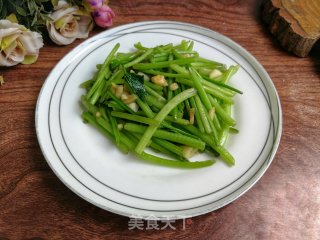蒜香番薯叶梗的做法步骤：4