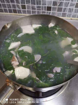 沙白枸杞豆腐汤的做法步骤：10