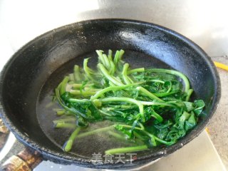 姜丝菜心的做法步骤：3