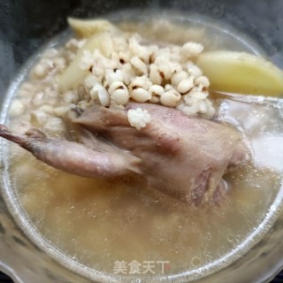 子姜薏米鹌鹑汤的做法步骤：10