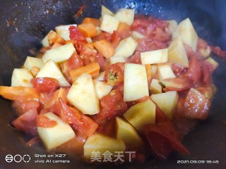土豆炖鸡肉的做法步骤：4