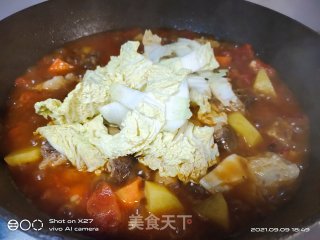 土豆炖鸡肉的做法步骤：7
