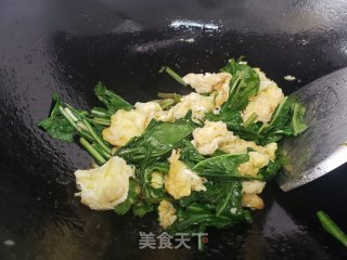 蒲公英炒鸡蛋的做法步骤：4