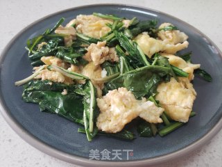 蒲公英炒鸡蛋的做法步骤：5