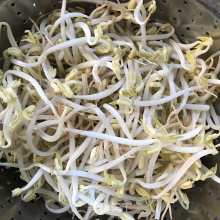 油泼小豆芽的做法步骤：2