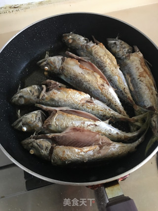 红烧花仙鱼的做法步骤：4