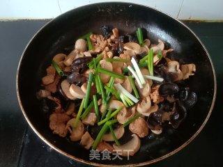 口蘑黑木耳炒肉片的做法步骤：9