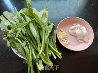猪油渣炒菜心的做法步骤：1