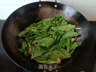 猪油渣炒菜心的做法步骤：5