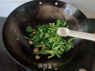 猪油渣炒菜心的做法步骤：6