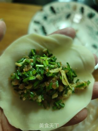 虾皮鲜肉韭菜水饺的做法步骤：7