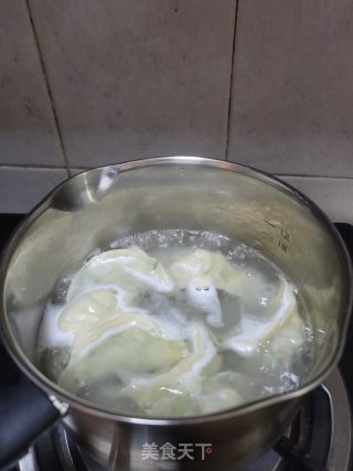 虾皮鲜肉韭菜水饺的做法步骤：9