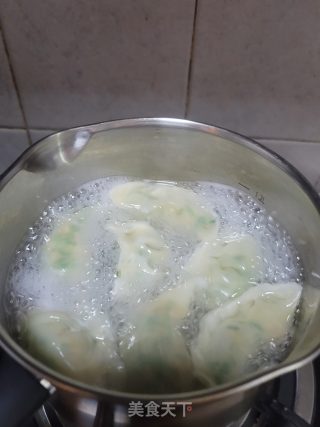 虾皮鲜肉韭菜水饺的做法步骤：10