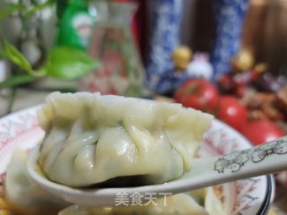 虾皮鲜肉韭菜水饺的做法步骤：13