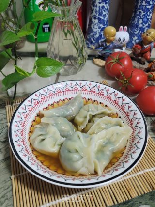 虾皮鲜肉韭菜水饺的做法步骤：15