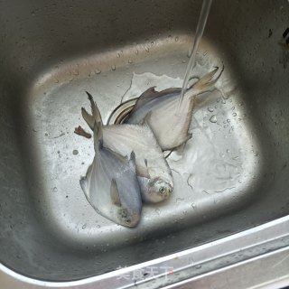 醋焖银鲳鱼的做法步骤：1