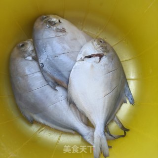 醋焖银鲳鱼的做法步骤：2