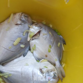 醋焖银鲳鱼的做法步骤：5
