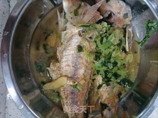 香芹焖红杉鱼的做法步骤：6