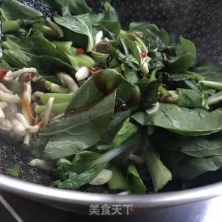 青菜炒小蘑菇的做法步骤：8
