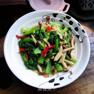 青菜炒小蘑菇的做法步骤：10