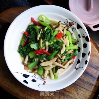 青菜炒小蘑菇的做法步骤：11